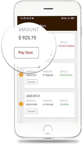 Pay-for-Detailed-Order
