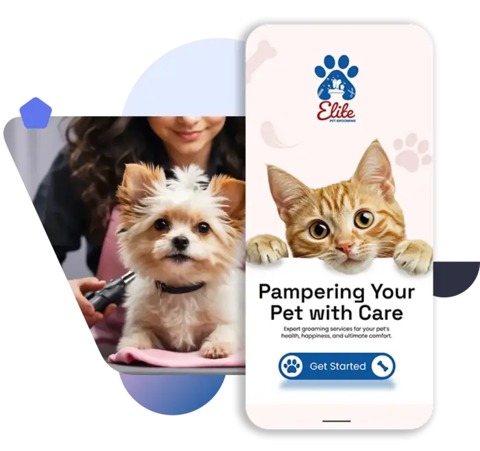 image-custom-cat